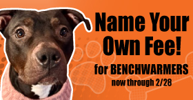 Adopt a benchwarmer!